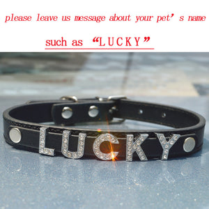 Free Name Dog Necklace Collar Teddy