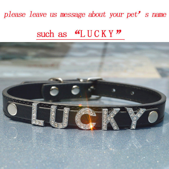 Free Name Dog Necklace Collar Teddy