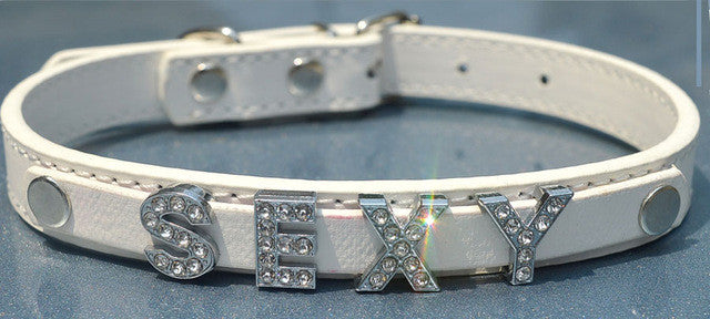 Free Name Dog Necklace Collar Teddy
