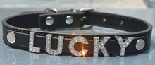 Free Name Dog Necklace Collar Teddy