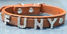 Free Name Dog Necklace Collar Teddy