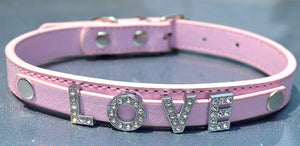 Free Name Dog Necklace Collar Teddy