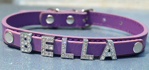 Free Name Dog Necklace Collar Teddy